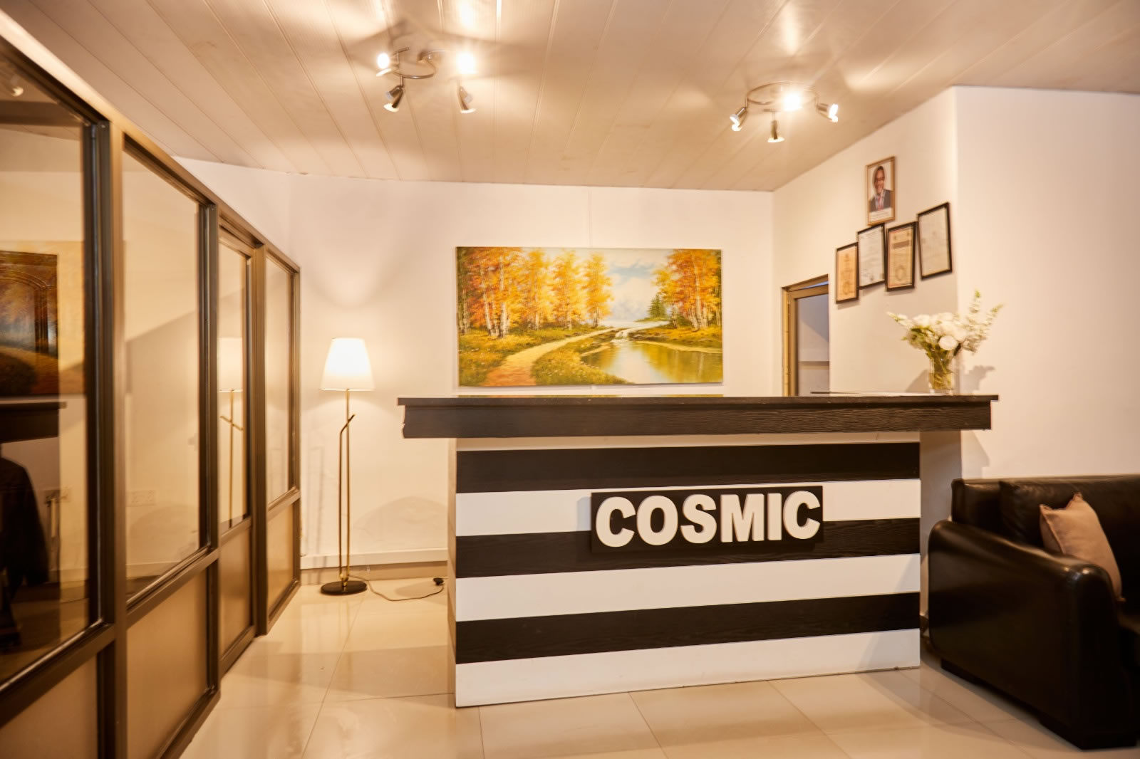 Cosmic Hotel reception